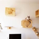 Designing and Decorating Your Cat-Themed Home