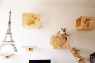 Designing and Decorating Your Cat-Themed Home