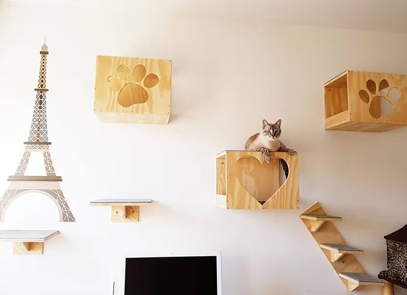 Designing and Decorating Your Cat-Themed Home
