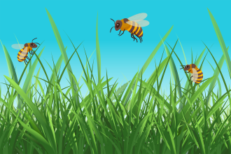 Swapping Your Lawn for a Bee-Friendly Habitat