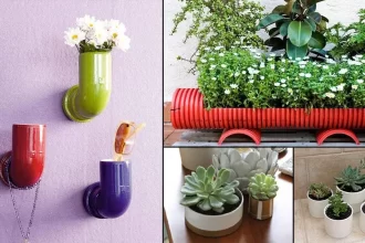 Creating a Stunning Green Space with PVC Pipe Planters