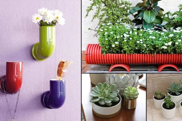 Creating a Stunning Green Space with PVC Pipe Planters