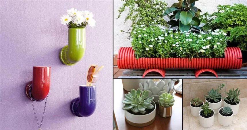 Creating a Stunning Green Space with PVC Pipe Planters