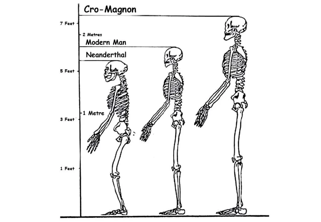 short height