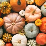 Pumpkin Patch Secrets! (Louisville, KY)