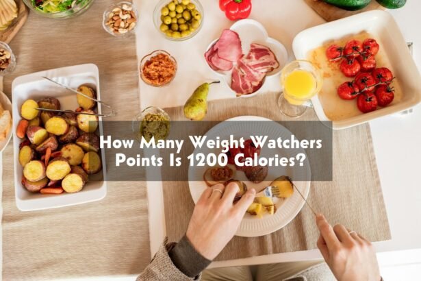 How Many Weight Watchers Points Is 1200 Calories?