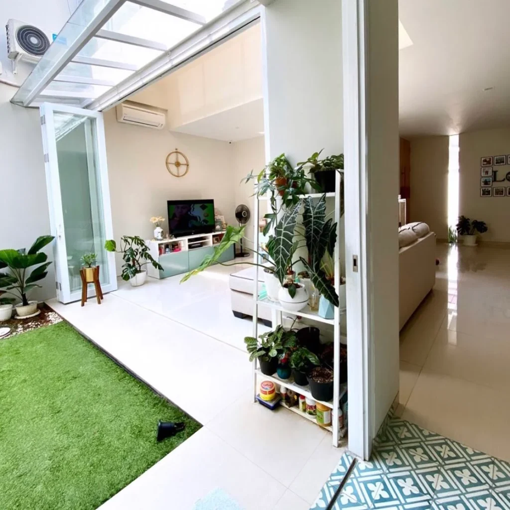 Air-cleaning plants