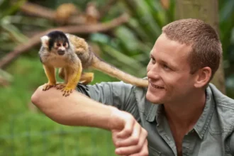 Monkey with a guy