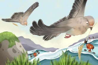 Ant And The Dove