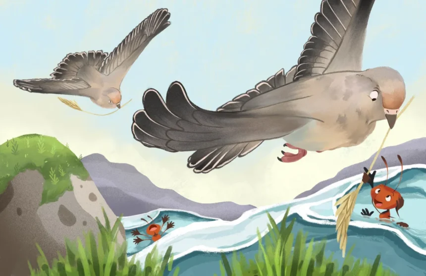 Ant And The Dove